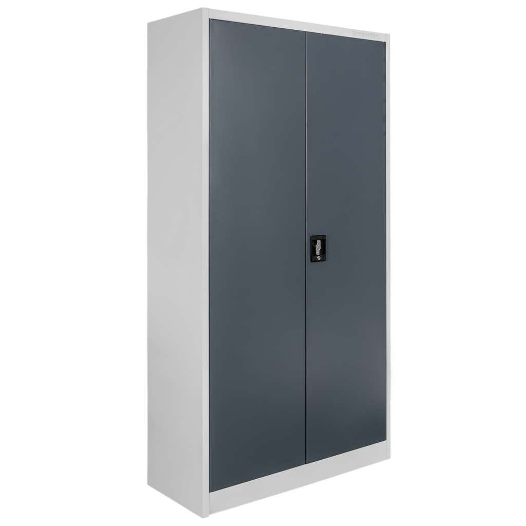 szafa biurowa metalowa, szafa na dokumenty, szafa aktowa metalowa, szafa na akta, szafa biurowa, szafa kartotekowa metalowa, szafa biurowa z zamkiem, szafa metalowa z półkami, szafa aktowa z drzwiami, szafa RODO na dokumenty, szafa na segregatory, szafa biurowa szara, szafa stalowa na dokumenty, szafa na dokumenty do biura