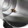 Warnik do wody ze stali nierdzewnej Mega-M 24.5L 2800W