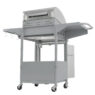 Grill ogrodowy gazowy BERGMANN 3+1, grill gazowy do ogrodu