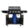 Grill gazowy ogrodowy, grill ogrodowy BERGMANN NL003
