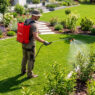 opryskiwacz plecakowy, opryskiwacz akumulatorowy WERKBERG Garden 16 L